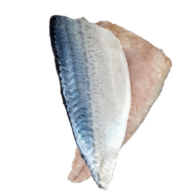 Spedizione veloce pesce Saba fresco congelato a basso prezzo congelato filetto di sgombro disossato