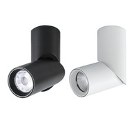 Luminaire moderne en aluminium à intensité variable 360° °   Spot LED rotatif à montage en surface pour plafond, éclairage d'intérieur pour salon