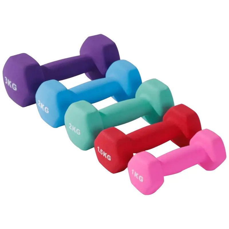 JIAHONG Bodybuilding Fashion Hex Dumbells Gym Home Fitness Equipment For Women Men Colorful Dip Plastic Small Dumbbell