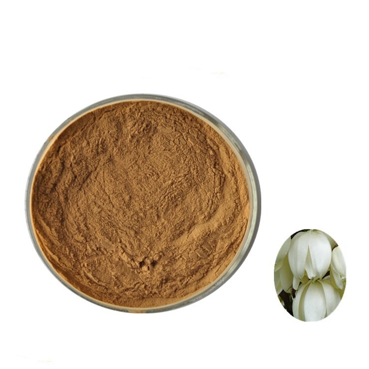High Quality Food Grade Yucca Root Extract 30% 50% 60% Yucca Saponin Powder Herbal Extract in Drum Packaging UV Test Method