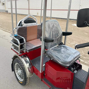 Moto à trois roues à essence <span class=keywords><strong>Zongshen</strong></span> Power Motorized, scooter de mobilité pour personnes âgées, utilisation double pour le transport de marchandises et de passagers - Product Image 3