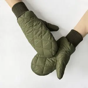 BSCI Manufacturer wanita sarung tangan musim dingin, sarung tangan layar sentuh mode kustom tahan hangat dan dingin untuk berkendara