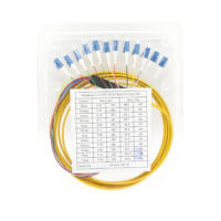 12F OS2 G657A1 LC UPC Fiber Optic Fanout Pigtail POE 4G FTTH 3G SDK IP GPRS TCP kompatibel Panel Patch