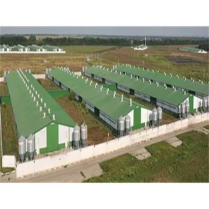 Poulailler Préfabriqué Économique pour 10000 Poules Pondeuses pour l'Afrique - Product Image 1