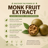 Poudre d'Édulcorant Naturel OEM/ODM, Complément Alimentaire Énergisant, Extrait Instantané de Fruit du Moine, Favorise la Santé Intestinale