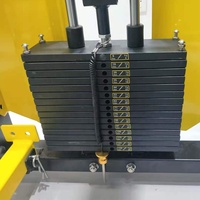 Cage de musculation avec support, dispositif multifonctionnel, avec câble de musculation, équipement de gymnastique et d'entraînement de poids à domicile
