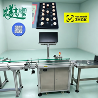 Machine d'inspection par laser UV pour boîtes de flacons avec scanner de codes QR IA et système de vision pour marquage traçable