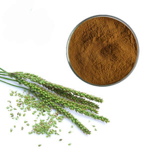 オオバコエキス粉末オオバコ葉エキスオオバコLanceolataエキス - Product Image 3