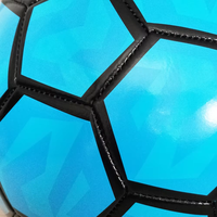 Premier Balon De Futbol Ballon De Football Ligue Professionnelle