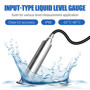 Industriële IP68 roestvrijstalen onderwater niveaumeter hoge nauwkeurigheid 12-28VDC helder water putniveaumeter - Product Image 4