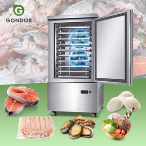 เครื่องแช่แข็งแบบเร็วสำหรับอาหารแช่แข็ง IQF อุตสาหกรรม แบบเคลื่อนที่ได้ สำหรับเนื้อสัตว์และไก่ - Product Image 1