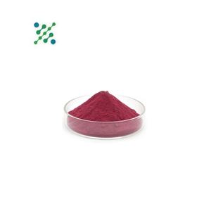 食品グレード純天然トマトエキス粉末5% 10%リコピン - Product Image 1