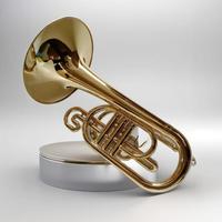 30/5000 Factory Custom Wholesale Melofonos Gold Lacquer Musical Instruments Exquisite Packaging Case Spot Delivery Brass F Tone