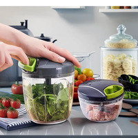 Presse-ail manuel portable en acier inoxydable pour la préparation des fruits et légumes