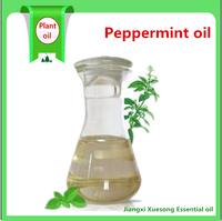 Échantillon Gratuit Huile Essentielle de Menthe Poivrée Pure à 100 % (Mentha Arvensis) en Gros Vrac 25 kg – Fournisseur Fabricant