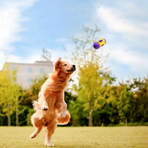 Köpek oyuncaklar üreticileri toptan yavru Molar kauçuk Bite dayanıklı oyuncak köpek bakımı bulmaca oyuncak - Product Image 2