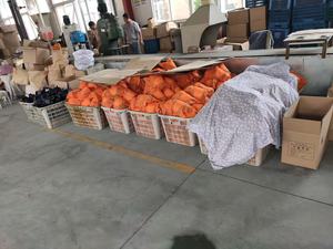 Mặt nạ phòng độc toàn mặt, loại hộp đơn, bán buôn, có bộ lọc, chống khí độc, hơi độc, hóa chất, sơn phun, bụi. - Product Image 6