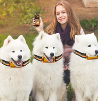 Chijie XD-T23 Wasserdichtes Wiederaufladbares Kabelloses ABS Hundetrainingshalsband mit Elektronischem Zaun FCC-Zertifiziert Mini-Größe