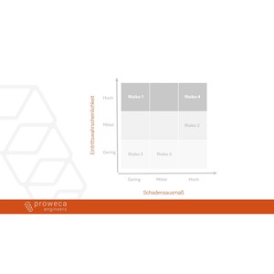 Analisi dell'inventario, definizione dei requisiti e gestione dei rischi per lo sviluppo sostenibile del prodotto e il lancio su - Product Image 3