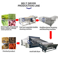 Machine de séchage d'oignon de déshydratation Machine de séchage d'oignon de déshydratation commerciale