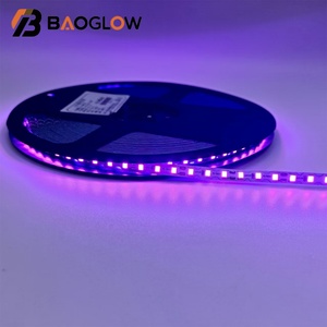 3000K 6000K 10000K 12V Dimmable LED Flexible Lights High Density LED Light String Warm Cold White 120 LEDs/m Smart Strip Lights - Product Image 6