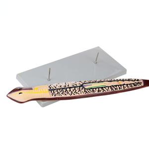 प्लेनेरियन एनाटॉमी शिक्षण मॉडल - Product Image 3