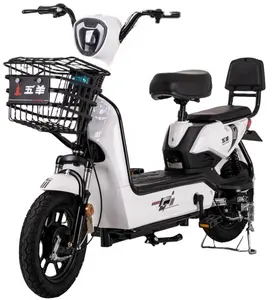 2023 Jiangsu professional supplier powerful electric motorbike two wheel electric skateboard scooter