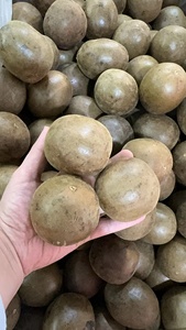 High Purity Pure Lakanto Monk Fruit <strong>Extract</strong> Sweetener with No Significant Aftertaste Food Additives - Product Image 6