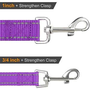 उच्च चिंतनशील नायलॉन वेबबिंग पालतू कुत्ते कॉलर पट्टा सेट कस्टम समायोज्य स्टाइलिश ओएम डिजाइन लक्जरी शैली मुक्त नमूना कम मौक - Product Image 4