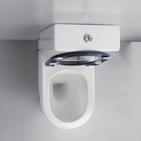 Siège de toilette ergonomique à rabat pour personnes âgées et handicapées, monobloc, accessible, pour hôpital public, salle de bain sanitaire, armoire de toilette pour seniors