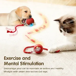 2026 eco-friendly interattivo Smart Pet Toy ricaricabile automatico rotolamento <span class=keywords><strong>Mouse</strong></span> <span class=keywords><strong>a</strong></span> sfera per cani gatti esercizio durevole in Silicone - Product Image 2