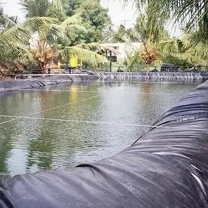 Impermeable Geomembrane HDPE Smooth Geomembrane Waterproofing Pe Pool Membrane