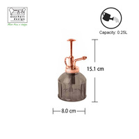TR023 Esschert Design 3 couleurs tendance nouveau bureau Mini plante brumisateur vente en gros verre intérieur plante brumisateur