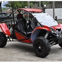 Buggy de plage 1000cc 2 places tout-terrain Renli pour la plage et le désert avec homologation CEE