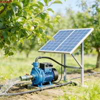 Pompe à eau solaire BESUN BY-DCHF-550W, pompe à eau souterraine à un étage, irrigation agricole, abreuvement du bétail, MOQ 1 ensemble pour les Philippines