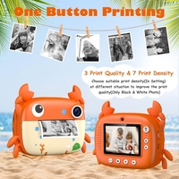 Personnalisée par l'usine Vente en gros Imprimante instantanée pour appareil photo Étudiant de bureau Noël Anniversaire Meilleur cadeau Mini imprimante de poche Appareil photo