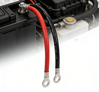 Câble d'alimentation pour charge de batterie avec bornes annulaires M6/M8, noir et rouge, 16/25/50 mm², haute intensité, pour onduleur de stockage d'énergie RV, marque OEM