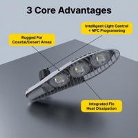 Lampu Jalan LED 100W IP67 Tahan Air Aluminium Die Casting Lumen Tinggi Pintar Dengan Fotocell Penerangan Publik Untuk Pemerintahan
