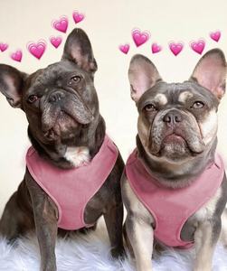 Rompi hewan peliharaan lembut tanpa tarik merah muda kualitas tinggi tali anjing beludru dapat disesuaikan dengan tas tempat kotoran Set Valentine kucing <span class=keywords><strong>Harness</strong></span> dapat disesuaikan - Product Image 2