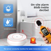 Dispositif d'alarme de détection de fuite d'eau à faible niveau, étanche, certifié CE, sans fil Zigbee/WiFi, application mobile 433, télécommande TUYA, 80 dB