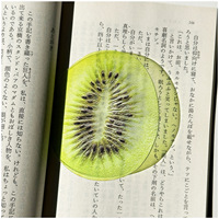 Watermeloen Appel & Vijg Fruit Harsen Boekenlegger Schattig Design Hoge Esthetiek Transparant Instagram Stijl Cadeau voor Terug naar School