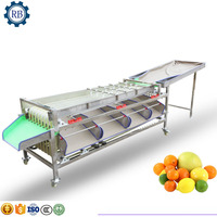 Industriële Jujube Tomaat Ui Citrusvruchten Groente Sizer Maat Sorteermachine En Droog