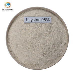 Vendita calda della fabbrica proteine alimentari del commestibile della lisina 98.5% L lisina per gli animali - Product Image 2