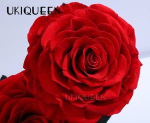 Regalo <span class=keywords><strong>de</strong></span> Cumpleaños <span class=keywords><strong>de</strong></span> <span class=keywords><strong>aniversario</strong></span> <span class=keywords><strong>de</strong></span> lujo rosa roja preservada Real hecha <span class=keywords><strong>a</strong></span> <span class=keywords><strong>mano</strong></span> cúpula <span class=keywords><strong>de</strong></span> cristal Rosa eterna con caja <span class=keywords><strong>de</strong></span> regalo - Product Image 2
