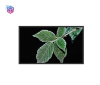 Écran LCD de 49 pouces pour fenêtre, résistance aux hautes températures et dissipation thermique élevée, 5000 nits, intérieur