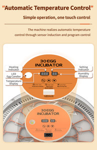 HHD khuyến mãi mini 30 Gà Vịt Chim Cút trứng lồng ấp - Product Image 5