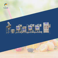 Machine de pasteurisation de jus 300L 500L / Machine de mélange et de pasteurisation de jus