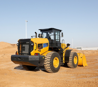 Chargeuse sur pneus 856T avec une forte force de rupture pour les travaux de construction intensifs