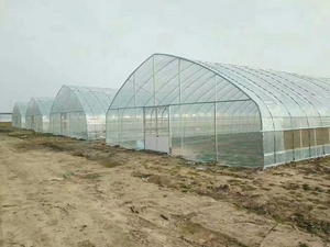 Serres de jardin gothiques à arche, super résistantes au vent, en verre trempé, serres extérieures en aluminium pour jardin et cour arrière - Product Image 6