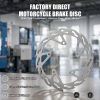 Disque de frein avant droit sur mesure 290 mm à découpe flamme pour Kawasaki Ninja 300 Z 300 Versys X 300 – Nouvelle Approvisionnement